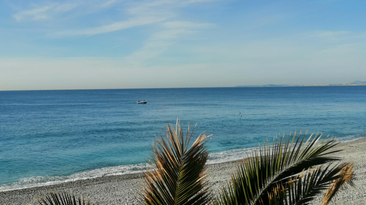 3AHotels's tweet photo. #HappyFriday Une belle journée sous le soleil de la #CotedAzurFrance pour terminer la semaine ☀️😎

#3AHotels #ExploreNiceCotedAzur #Nice #OnATousBesoinDuSud #April #Spring #Sun #BlueSky https://t.co/KvXcbQ5HE9
