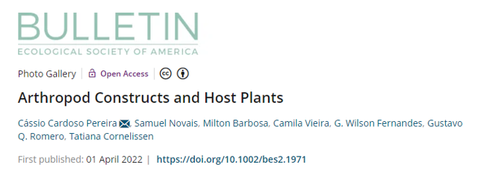 CssioPereira4's tweet photo. Our new publication is out on @ESABulletin! We describe the main types of arthropod constructions found on plants. Check out these spectacular photos:
https://t.co/Nsliv59oK8
@Taticornelissen @GeraldoWilsonF3 @gqromero @Milton_BSJ #ecology #ecosystemengineering https://t.co/IOVK97Q72t
