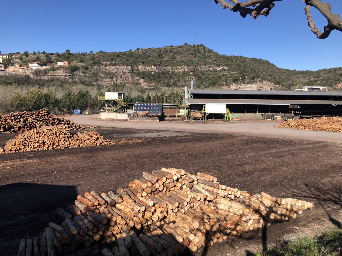 Natiadell's tweet photo. Les serradores de Catalunya aturen 24hores la producció per protestar per la falta de matèria prima i mà d’obra mecanitzada al bosc. Els problemes d’abastiment poden deixar sense palets moltes empreses. ⁦@SerradoraBoix⁩ https://t.co/0sWdilzfdv