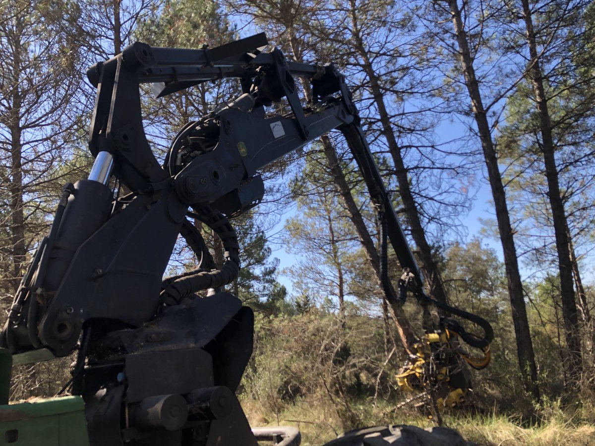 Natiadell's tweet photo. Les serradores de Catalunya aturen 24hores la producció per protestar per la falta de matèria prima i mà d’obra mecanitzada al bosc. Els problemes d’abastiment poden deixar sense palets moltes empreses. ⁦@SerradoraBoix⁩ https://t.co/0sWdilzfdv