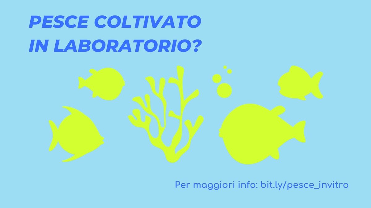 MCS_Sissa's tweet photo. 🐠Pesce d’aprile: parliamo di overfishing o eccesso di pesca, una minaccia per gli ecosistemi marini. Di fronte alla crescente domanda di prodotti ittici si esplorano soluzioni alternative tra cui il pesce in vitro. Per info: https://t.co/9AUbUIU5Y4
#pescedaprile #cellbasedfish https://t.co/2KMUUOaiX4