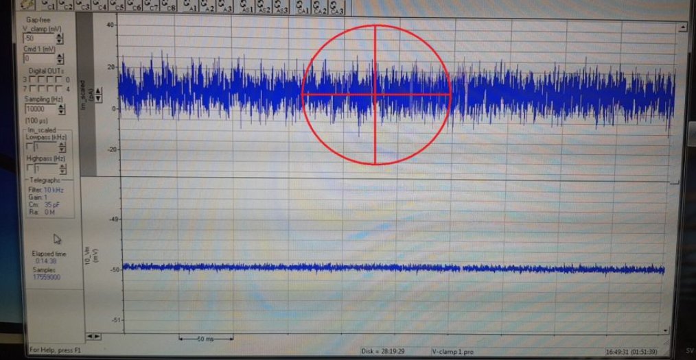 neurogig's tweet photo. Intro Primer for troubleshooting #electrical_noise on your #patch_rig:
Hunting for Electrical Noise on an Electrophysiology Rig – Part 1/3 https://t.co/BbkvyIo8aR https://t.co/q4KMtf9Nn3