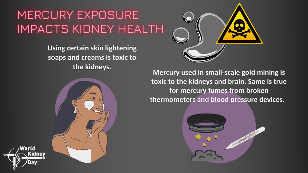 worldkidneyday's tweet photo. The kidneys are sensitive to the effects of mercury, because mercury accumulates in the kidneys and causes higher exposures to these tissues, and thus more damage. All forms of mercury can cause #kidneydamage if large enough amounts enter the body. #WorldKidneyDay #KidneyHealth https://t.co/Wn3gnYzREq