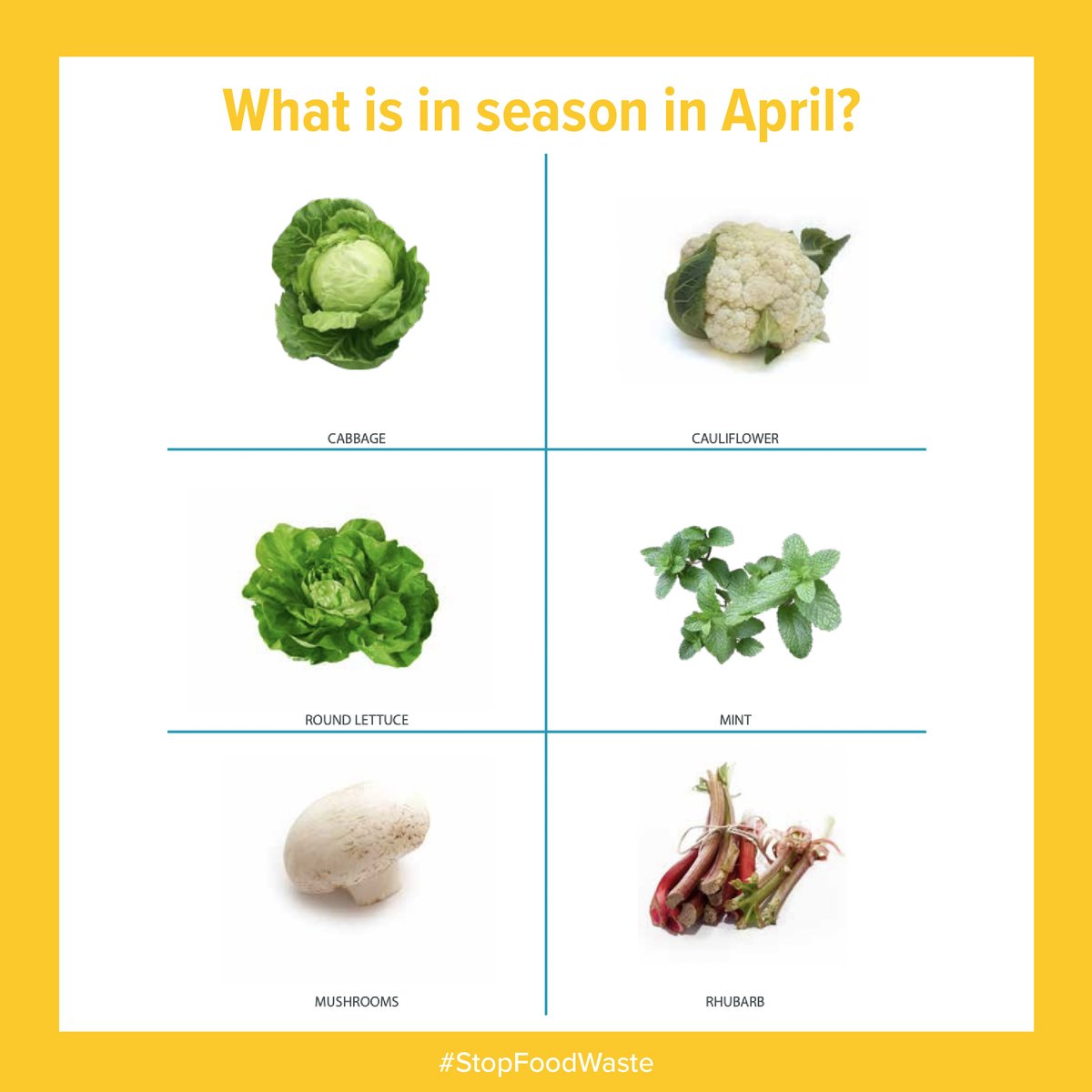 Stop_Food_Waste's tweet image. There’s nothing foolish about eating with the seasons. 🥕🍄🍅🥒

In fact, planning your meals around fruit and veg that’s in season in Ireland can be a great way to reduce the cost of your groceries as it’s sourced locally!