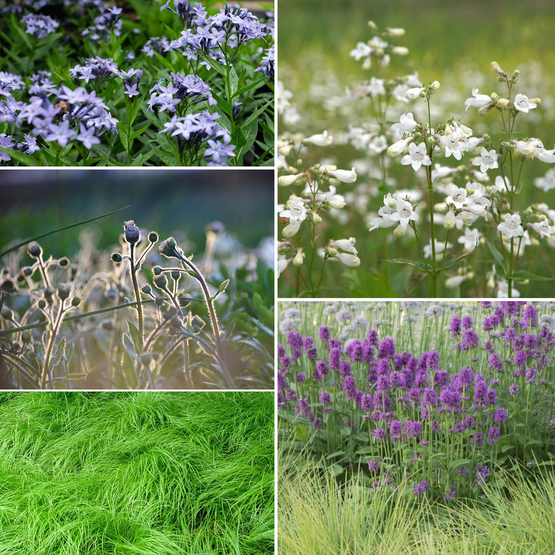 LivingRoofsInc's tweet photo. Dreaming of patterns and plants and pollinators and all the pieces for this sweet-soon-to-be #greenroof in @Raleigh.
#NatureBasedSolutions #landscapeonstructure #landscapeforward #biodiversity #biophilicdesign #greeninfrastructure #livingroofs #roofgarden #resilientdesign https://t.co/g03QnNdixi