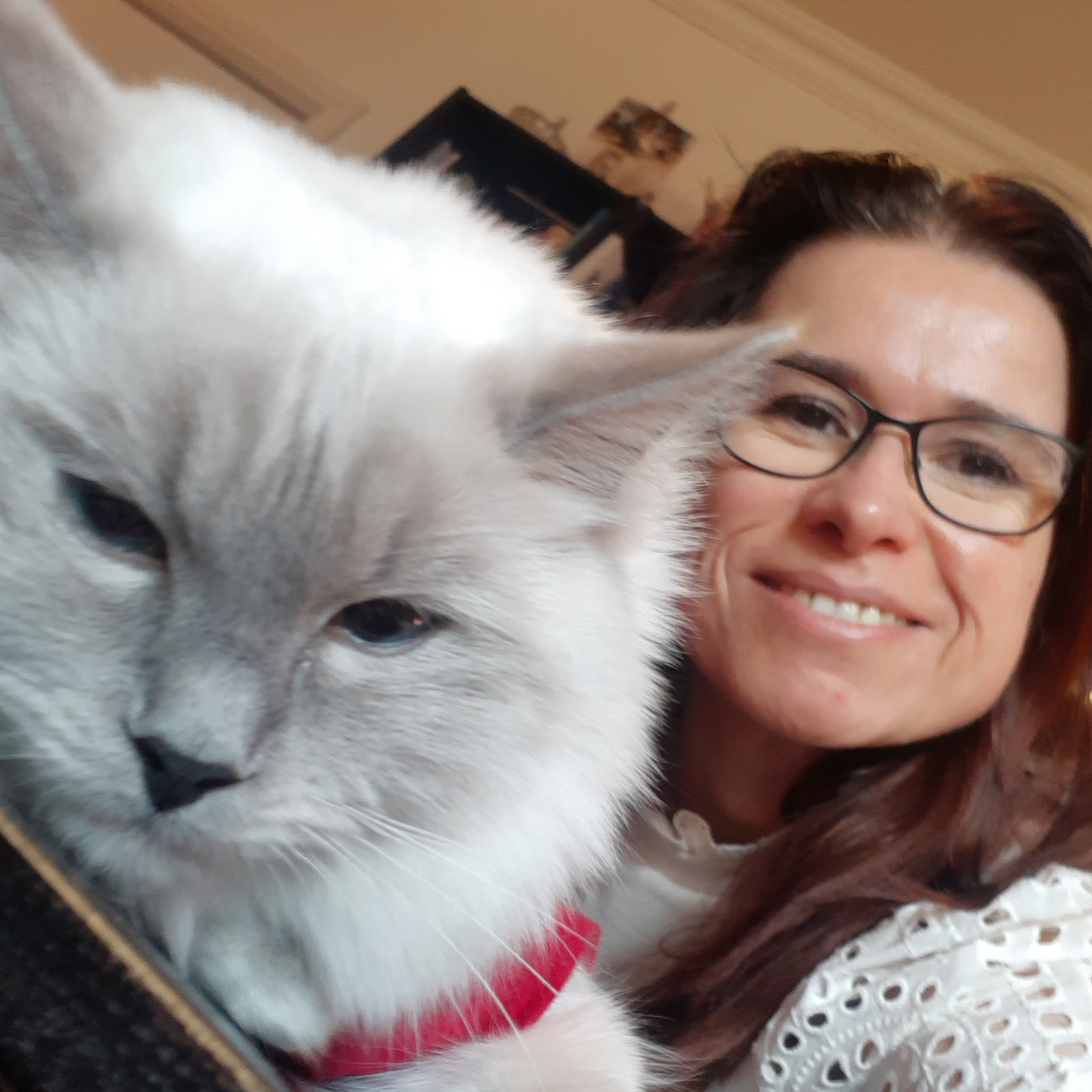 KlaarSmith's tweet photo. I have been quiet on here for a while. 

A lot has been going on and I've had to regroup a bit. hoping to be around more again from now on. 😻😻

Have a lovely Friday! Almost #weekend again 💝

Klaar x

#cats https://t.co/o4lxXjbslR