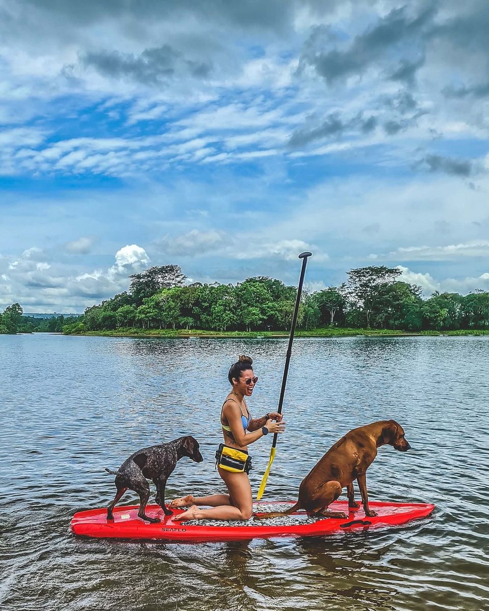 OverBoardBags's tweet photo. Great shot by @rixfern out on the SUP with their 🐶's

#OverBoard #overboardbags #keepitdry #SUP #river #adventure #dog #dogsofinstagram #lake #travel #paddleboarding https://t.co/NjY9YPcGNt