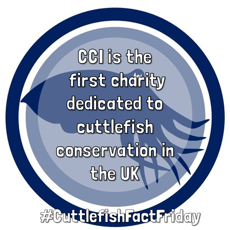 cuttle_cons's tweet photo. It's the last #CuttlefishFactFriday (for a while), I've run out of facts! I'll be taking a break, but don't worry, we've plenty of other #cuttlefish content coming soon. I've had fun making them, what is your favourite fact? Thanks for the great response to this series!
Jack ✌️ https://t.co/46gyWqP9yJ