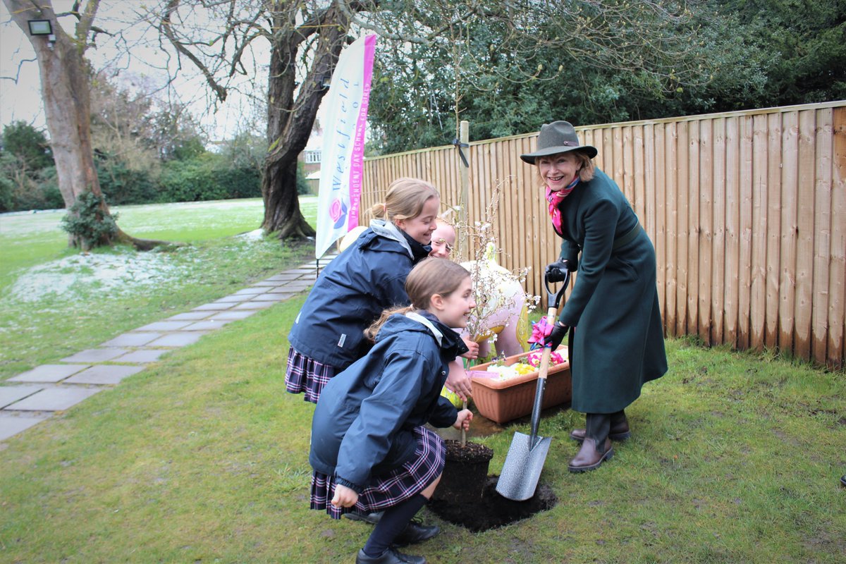 Westfieldschoo1's tweet photo. We were delighted to welcome two Deputy Lieutenants from the @TWlieutenancy to 'Plant a tree for the Jubilee'

Thank you to Ms Lucy Winskell, OBE, DL and Commander Ed McNaught, RD, DL for being our special guests.

@QGCanopy #PlatinumJubilee 
@GSAUK @ChronicleLive @BBCLN https://t.co/jqkpOOcmgu