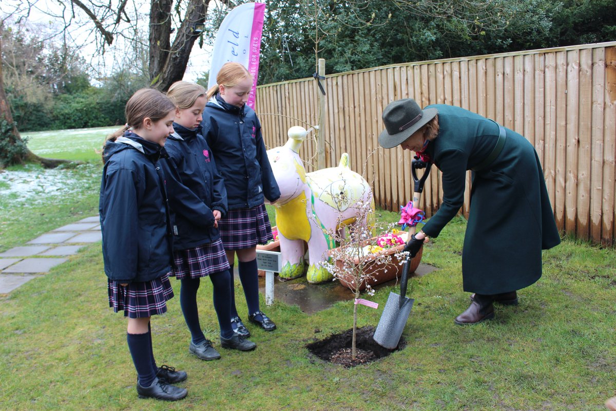 Westfieldschoo1's tweet photo. We were delighted to welcome two Deputy Lieutenants from the @TWlieutenancy to 'Plant a tree for the Jubilee'

Thank you to Ms Lucy Winskell, OBE, DL and Commander Ed McNaught, RD, DL for being our special guests.

@QGCanopy #PlatinumJubilee 
@GSAUK @ChronicleLive @BBCLN https://t.co/jqkpOOcmgu