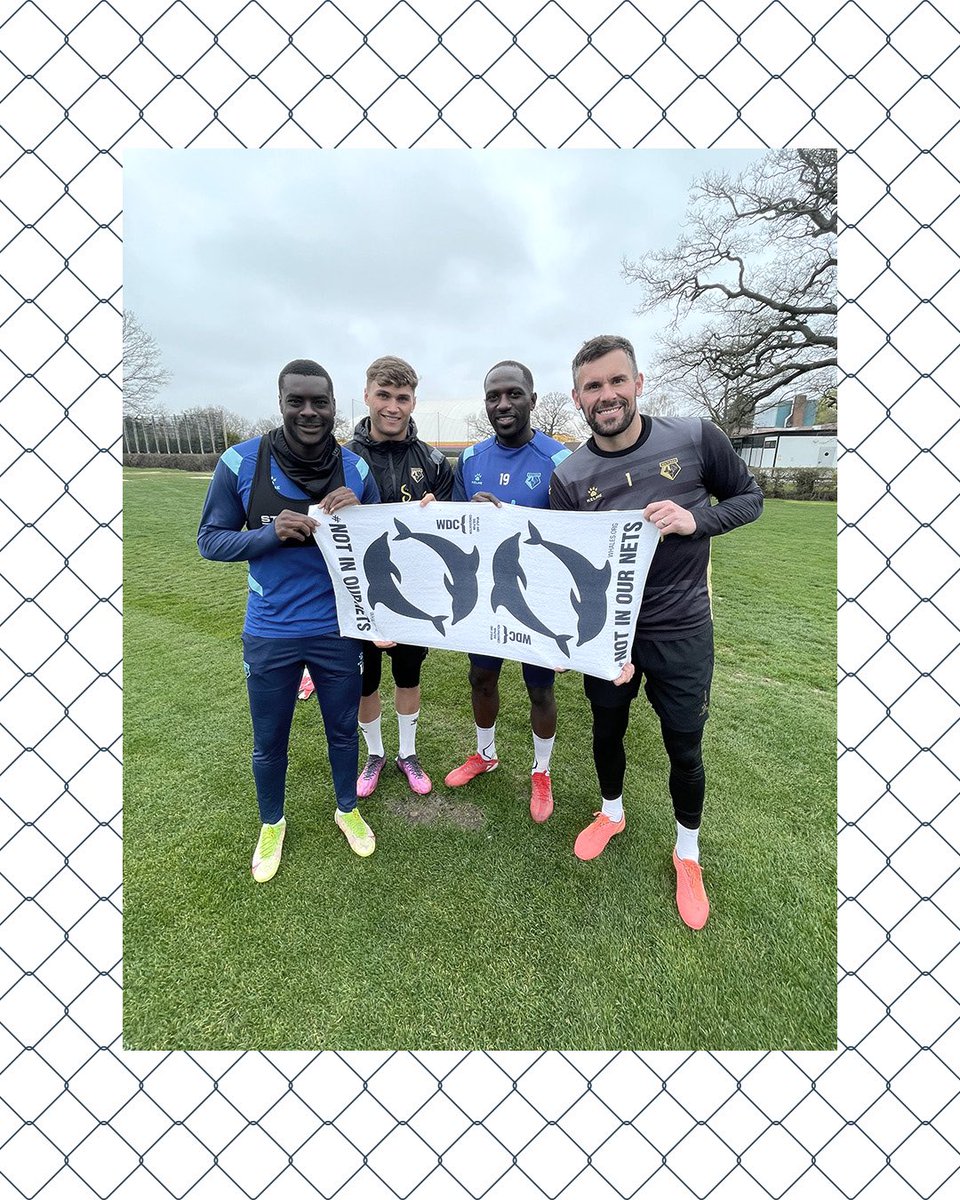 daughterstudio's tweet photo. #NotInOurNets campaign for @whalesorg supported by Premier League goalkeeper @BenFosters who will use the towel in his nets to raise awareness of the 1000+ dolphins killed in UK nets each year, equivalent to one for each goal in a PL season. Take action at https://t.co/kSM6Jznvsb https://t.co/kmDcjX11Et
