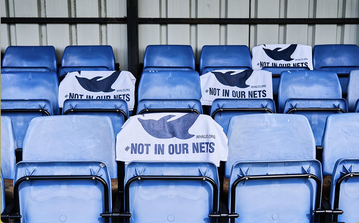 #NotInOurNets campaign for <a href="/whalesorg/">Whale and Dolphin Conservation (WDC)</a> supported by Premier League goalkeeper @BenFosters who will use the towel in his nets to raise awareness of the 1000+ dolphins killed in UK nets each year, equivalent to one for each goal in a PL season. Take action at whales.org/notinournets