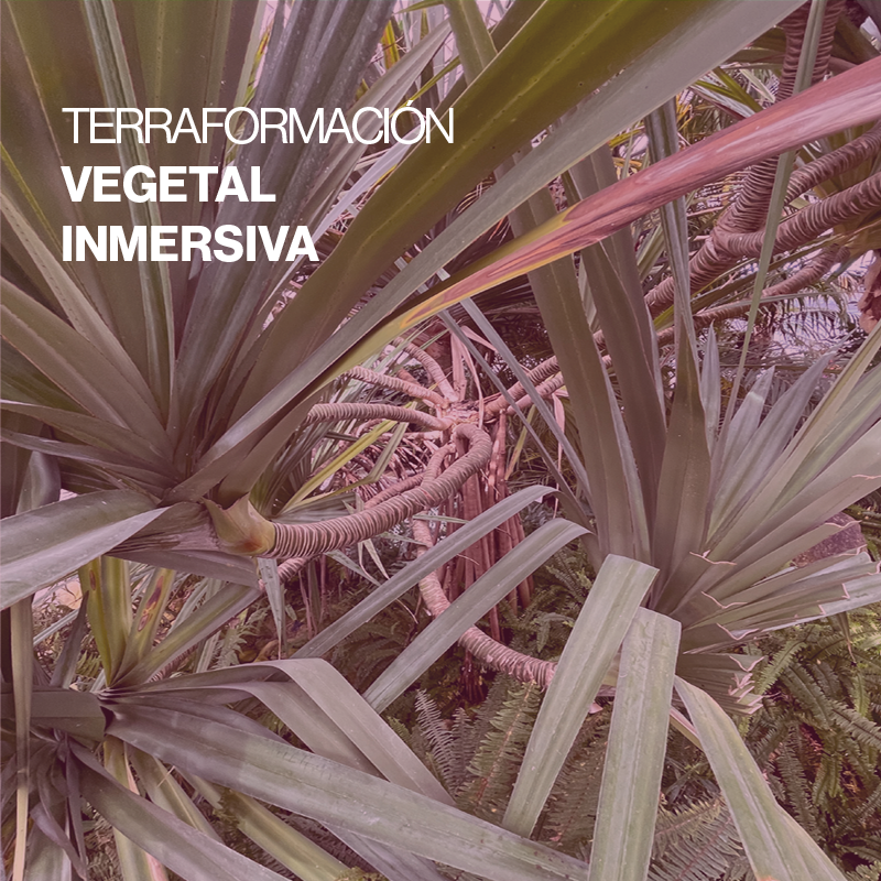 Parce qu’observer la narration de ses évolutions biologiques et esthétiques c’est aussi être témoin de l’évolution de la complexité de la vie sur notre #planète.

“Terraformación Vegetal Inmersiva”, de 
<a href="/santiagomorilla/">santiago morilla</a>
 🇪🇸, nous invite à cette #réflexion. 

📍 Tour de la Chaîne