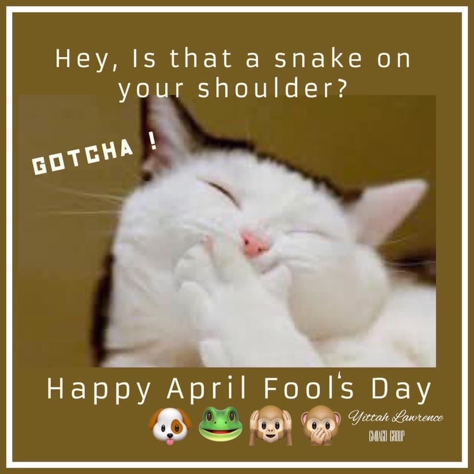 😀😀😀😀😀😀😀😀😀😀😀😀😀😀😀😀😀😀😀😀😀😀