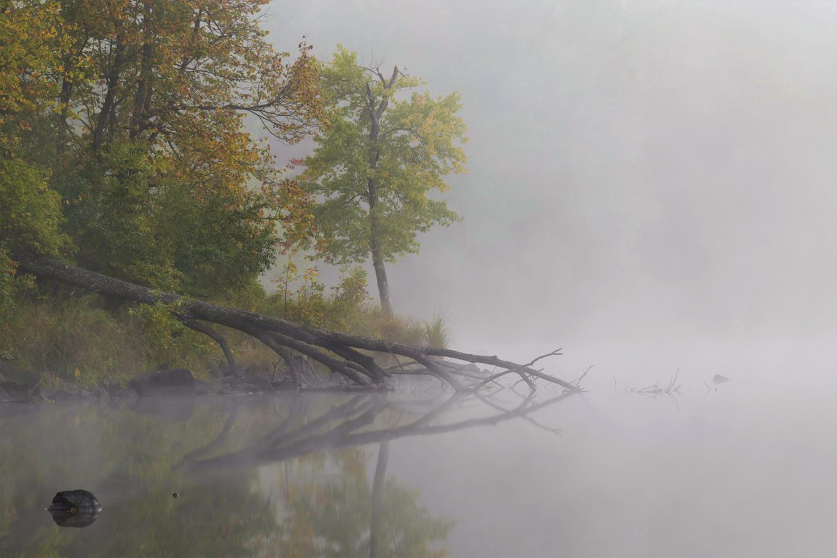 StephFranFoto's tweet photo. Good misty morning!
#NFTCommunity #nature #fog #misty #InterstatePark
#NFTartist #NFTProject https://t.co/kDitC5gPpN