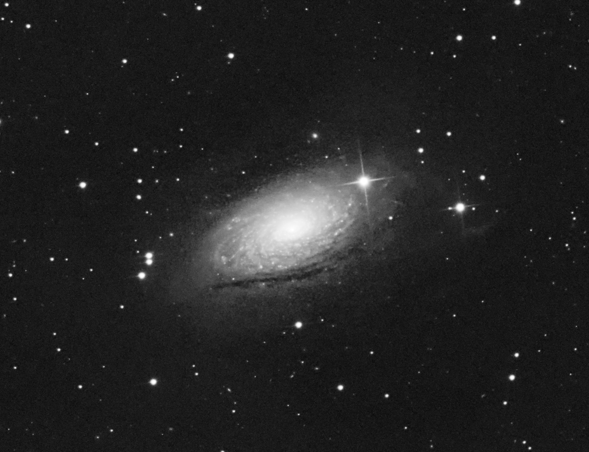 tombardier's tweet photo. M63, Sunflower Galaxy. 100 x 30 second luminance frames captured last night at high gain (300 gain, 50 offset). It was very windy, so only 53 frames were integrated. Will capture some colour later! Fixed my coma corrector spacing too! #asi1600mm #Skywatcher #200P #EQ6-R Pro https://t.co/BxDF5HldGL