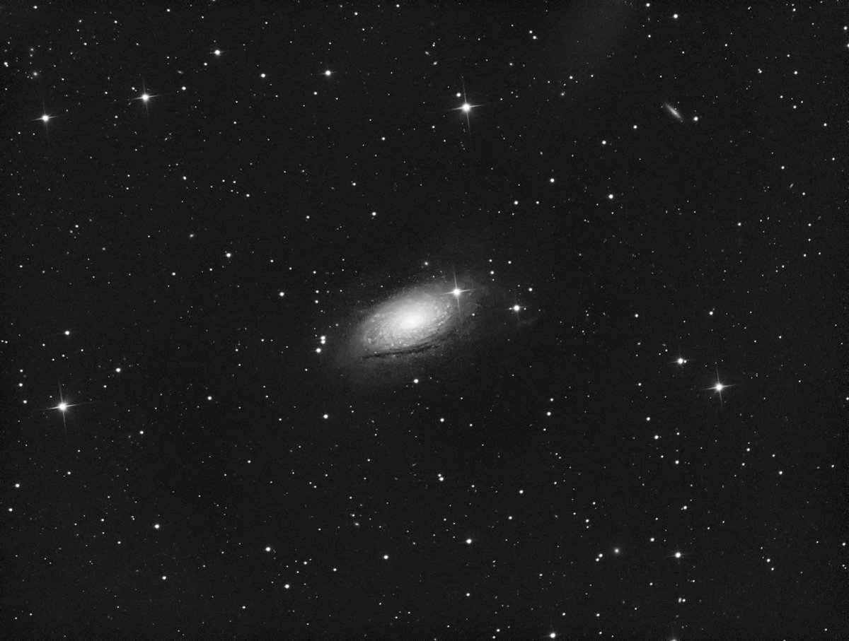 tombardier's tweet photo. M63, Sunflower Galaxy. 100 x 30 second luminance frames captured last night at high gain (300 gain, 50 offset). It was very windy, so only 53 frames were integrated. Will capture some colour later! Fixed my coma corrector spacing too! #asi1600mm #Skywatcher #200P #EQ6-R Pro https://t.co/BxDF5HldGL