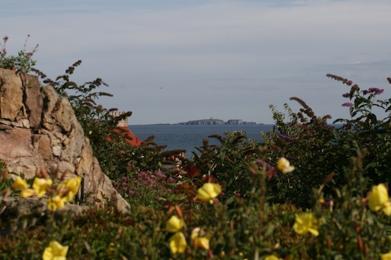 Pittenweem Chocolate tweet media