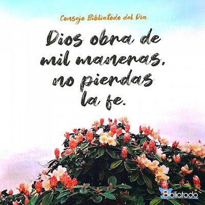 Devocional diario Reflexiones para vos:  "NO PIERDA LA FE"
acortar.link/hv9168
Dele ME GUSTA  a la página Reflexiones para vos en Facebook
#ReflexionesParaVos #ReflexionesCristianas #Devocionales 
#DiosTeAmaTanto