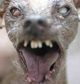Hearts4Miles's tweet photo. @meowbahh lmao you too scared to say nigga?? https://t.co/t5X85Xer55