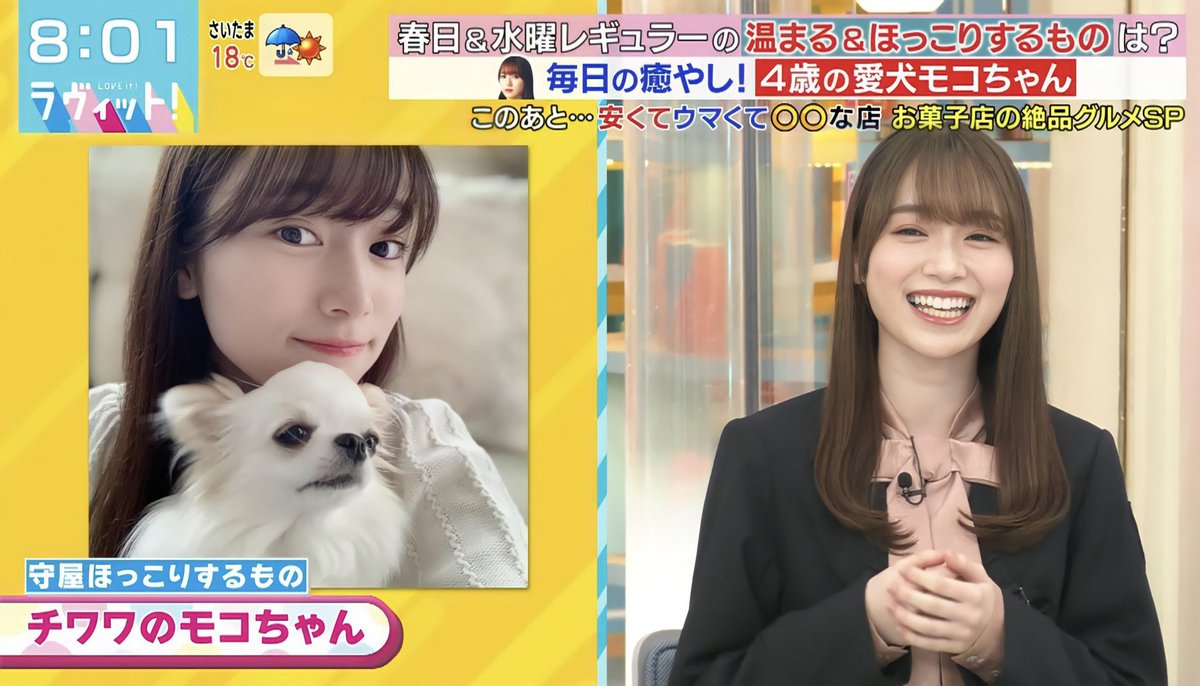 sakurazaka46 mocoちゃん/モコちゃん5歳のお誕生日おめでとうござい