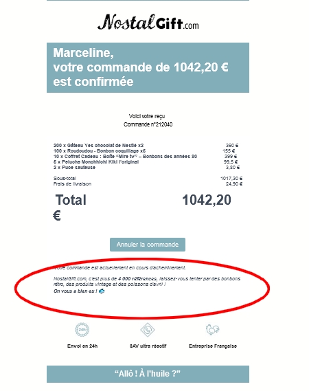Marceline_mn's tweet photo. @Nostalgift votre poisson d'avril déguisé en mail d'arnaque est censé être drôle ?🙄 https://t.co/FUOuFlsP2T