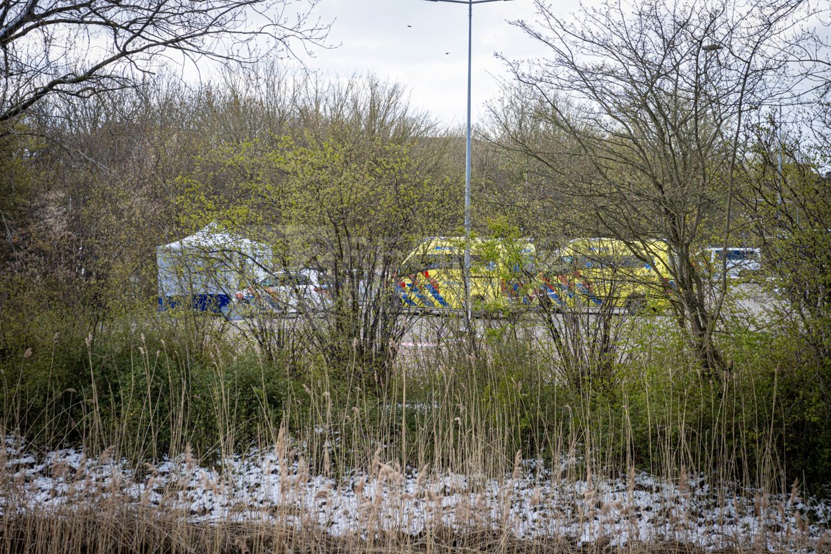 mexxvanderlieuw's tweet photo. Man overleden na schietpartij Leenderbos, Hoofddorp
https://t.co/DaJJjznk1g
#Hoofddorp #schietpartij #overbos #leenderbos #politie https://t.co/1xQ4WvTqFG