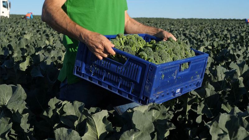 REVISTA F&H tweet media