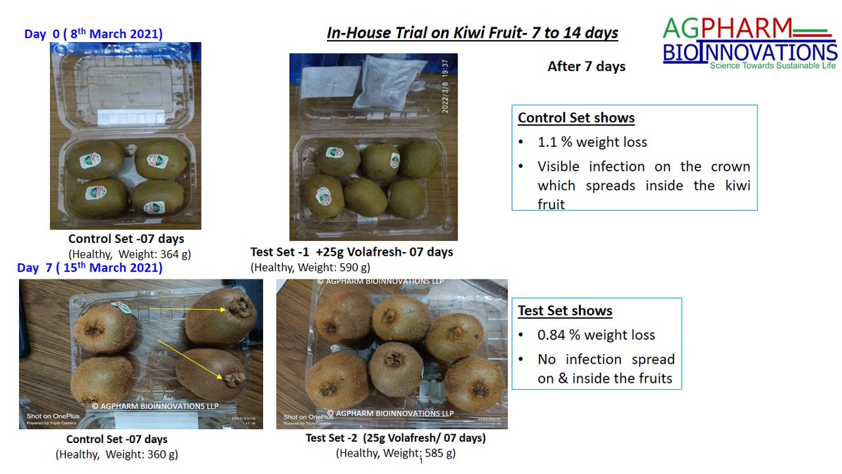 AgpharmB's tweet photo. Dear #moderntrade #freshfruits #producer #aggregator ,a chance to offer #customers,relish desired #kiwifruit as fresh&amp;tasty for two weeks in normal temperature &amp; environment conditions,without the need for coldstorages.VOLAFRESH(TM) #patented #biotechnology makes desire a reality https://t.co/Ub4THkcZ1x