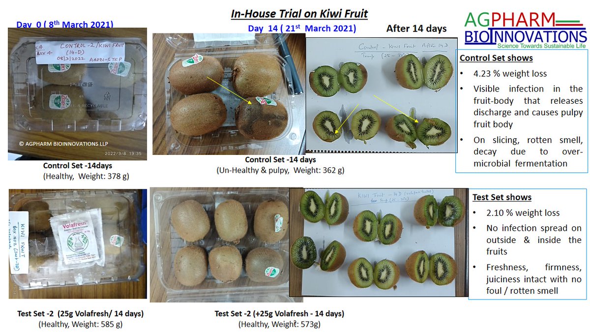 AgpharmB's tweet photo. Dear #moderntrade #freshfruits #producer #aggregator ,a chance to offer #customers,relish desired #kiwifruit as fresh&amp;tasty for two weeks in normal temperature &amp; environment conditions,without the need for coldstorages.VOLAFRESH(TM) #patented #biotechnology makes desire a reality https://t.co/Ub4THkcZ1x
