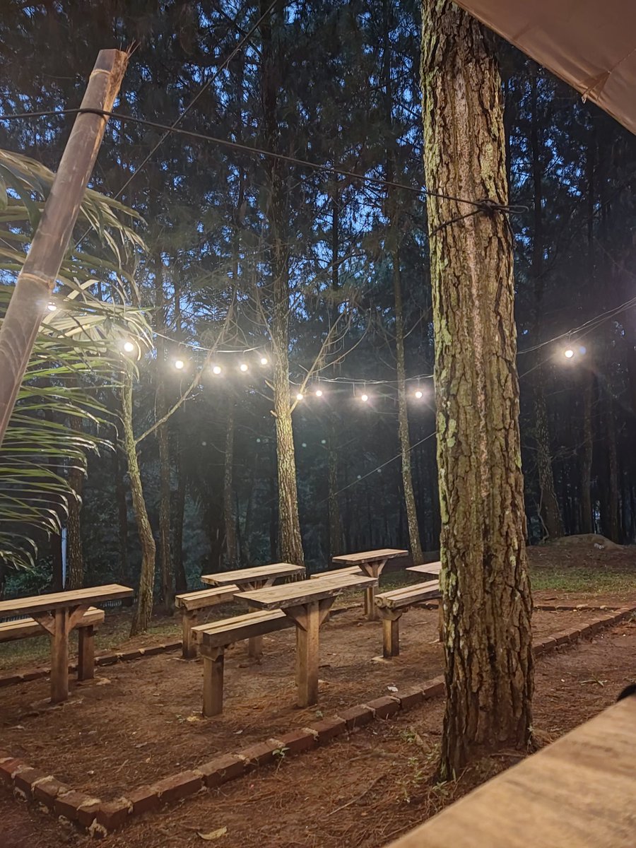 30SecondToMerz's tweet image. "Alam selalu bernyanyi untuk mereka yang rentan dalam sunyi. 
Kabut tipis selalu turun untuk mereka yang tengah rindu. 
Bulan penuh datang untuk mereka yg ditinggal bayangan. 
Pohon-pohon selalu berisik untuk mereka yang mencintai dalam diam"

Merz, 010122 naar suisse van java