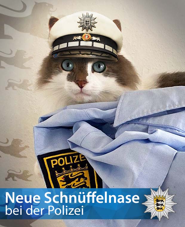 Polizei_KA's tweet image. Neue #Schnüffelnasen der Polizei: #Pilotprojekt #Katzenstaffel gestartet

Endlich beginnt das Pilotprojekt #Katzenstaffel. Nicht nur #Hunde - auch #Katzen können zukunftig ihre Stärken sinnvoll in den #Polizeidienst einbringen. #Catcontent

#AprilApril

Eure #Polizei #Karlsruhe