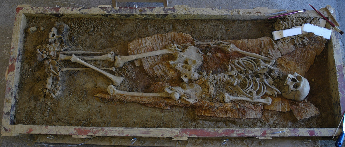 MPI_EVA_Leipzig's tweet photo. Origins of the Avars elucidated with ancient #DNA. Multidisciplinary team @Histogenes, incl. @MPI_EVA_Leipzig researchers Guido Gnecchi Ruscone, Johannes Krause &amp; @dewawer sheds light on 1,400 yo mystery. New paper @CellCellPress! https://t.co/dadmuBIbpE &amp; https://t.co/dVPO07fHMP https://t.co/6EGQ5LpRKW