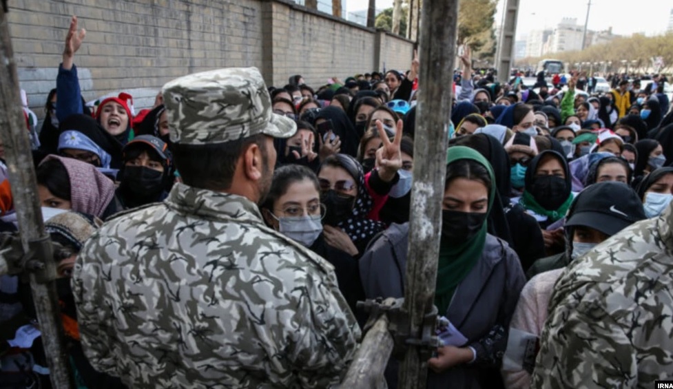 rowzane.com tweet media