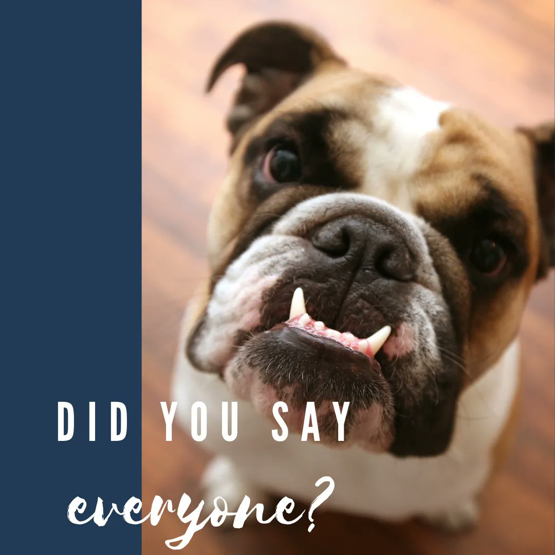 This is no #AprilFoolsDay joke! With our Everyone Financing, everyone is approved! Visit us online to learn more.