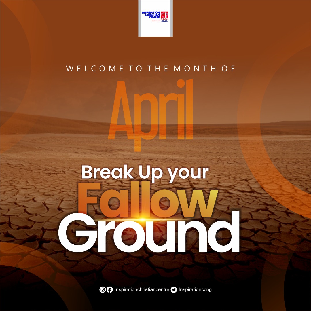 inspirationccng's tweet photo. It is time to break up fallow grounds.
Happy new month🧡

#HappyNewMonth
#april
#April1st
#yearofrising 
#isaiah https://t.co/3efLk5cMpm