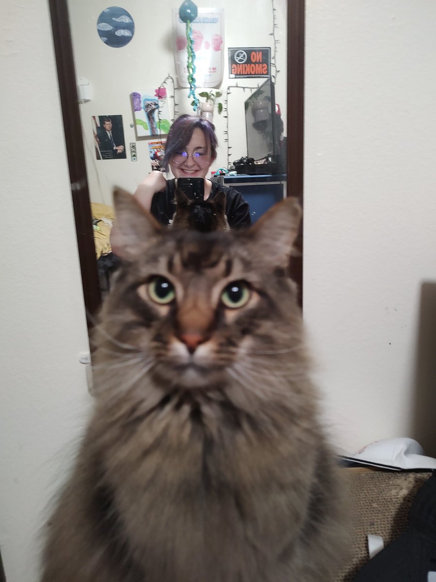 didgeridude tweet media