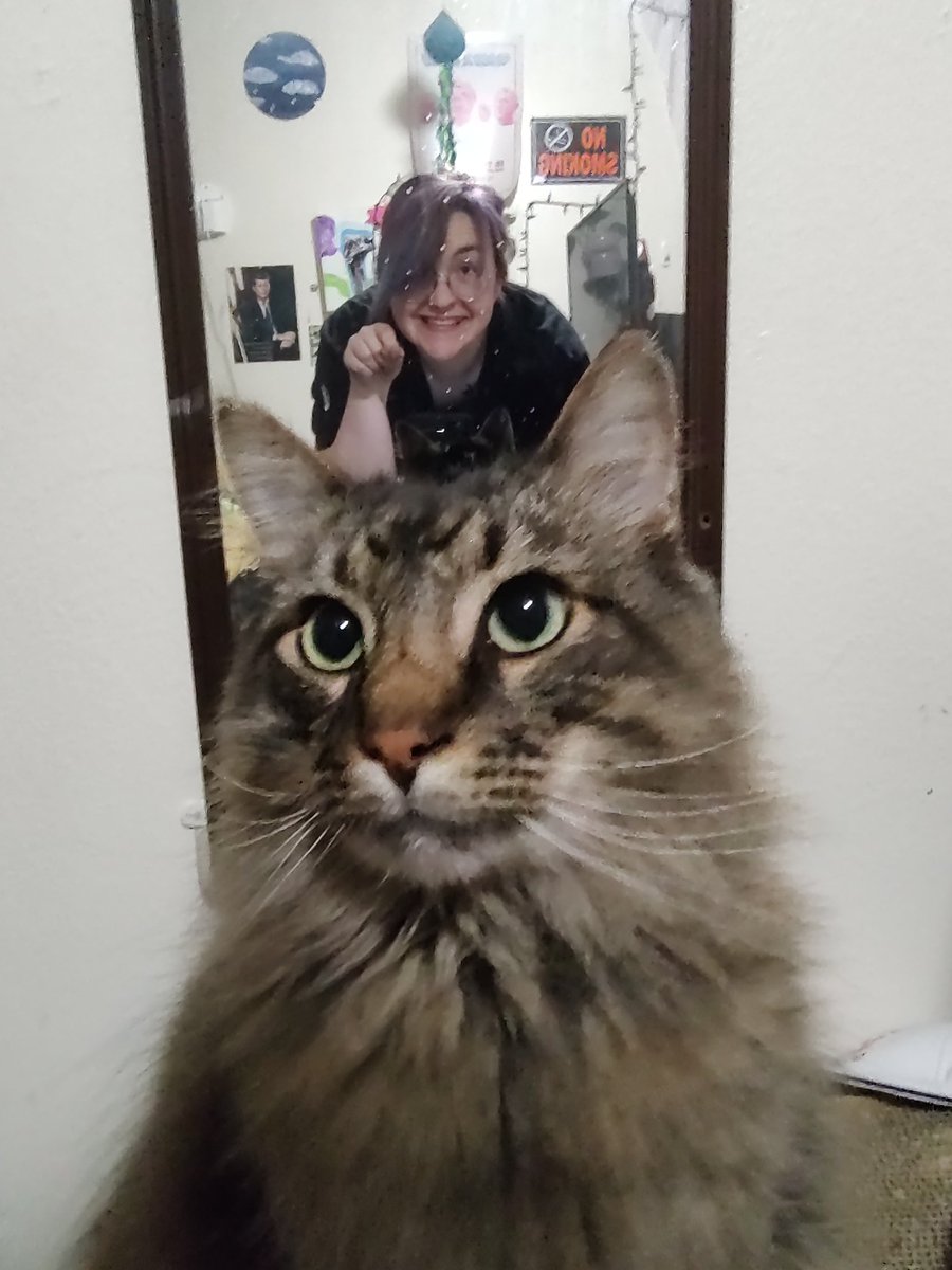 didgeridude tweet media