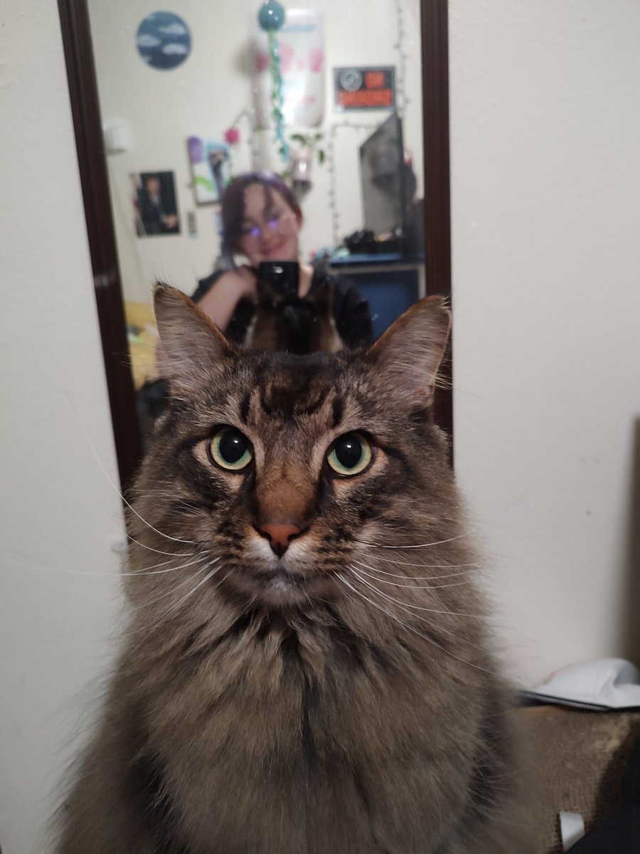 didgeridude tweet media