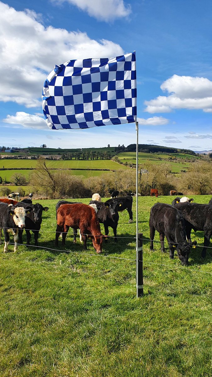 manahan_jm's tweet photo. Hon the deise,  #ilovesmecounty , @WLRFMsport @AussieGleeson @LiamCahill16 @AlanBarry1978 https://t.co/ajeu0pnCQ7