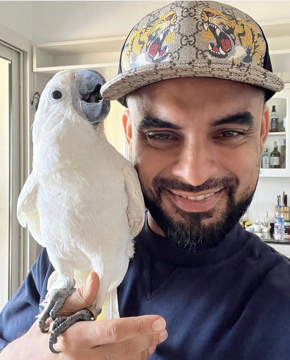 ttovino's tweet photo. ഇരയുടെ ഇര !!!
#iratheumbrellacockatoo https://t.co/O5AoKxIGrM