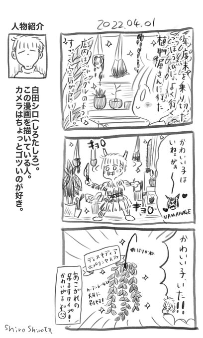植物 を含むマンガ一覧 ツイコミ 仮