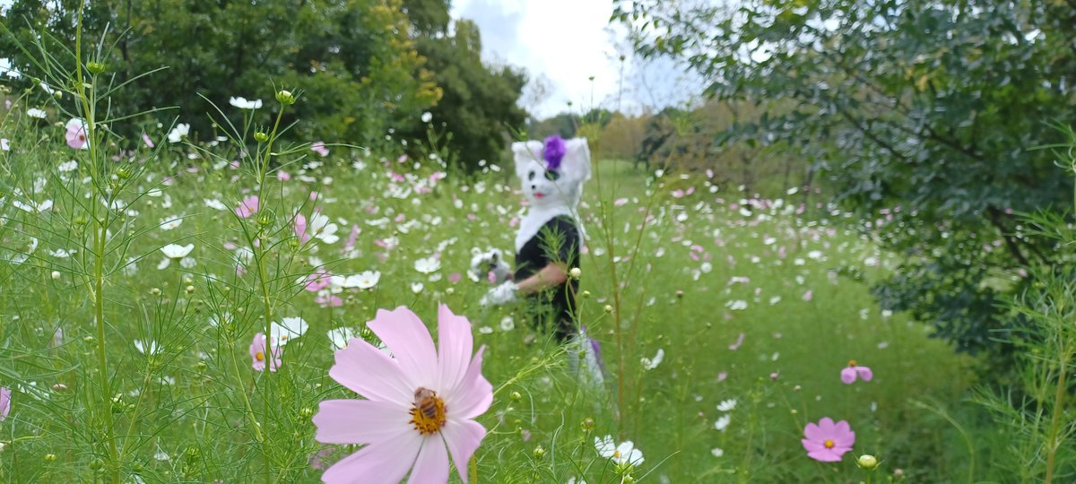 tale_shadow's tweet photo. Happy Flowery Fennic Fursuit Friday 😃 #FursuitFriday #fennic #nauticalcreations ✂️@nczasuits https://t.co/n70FsGVkV4