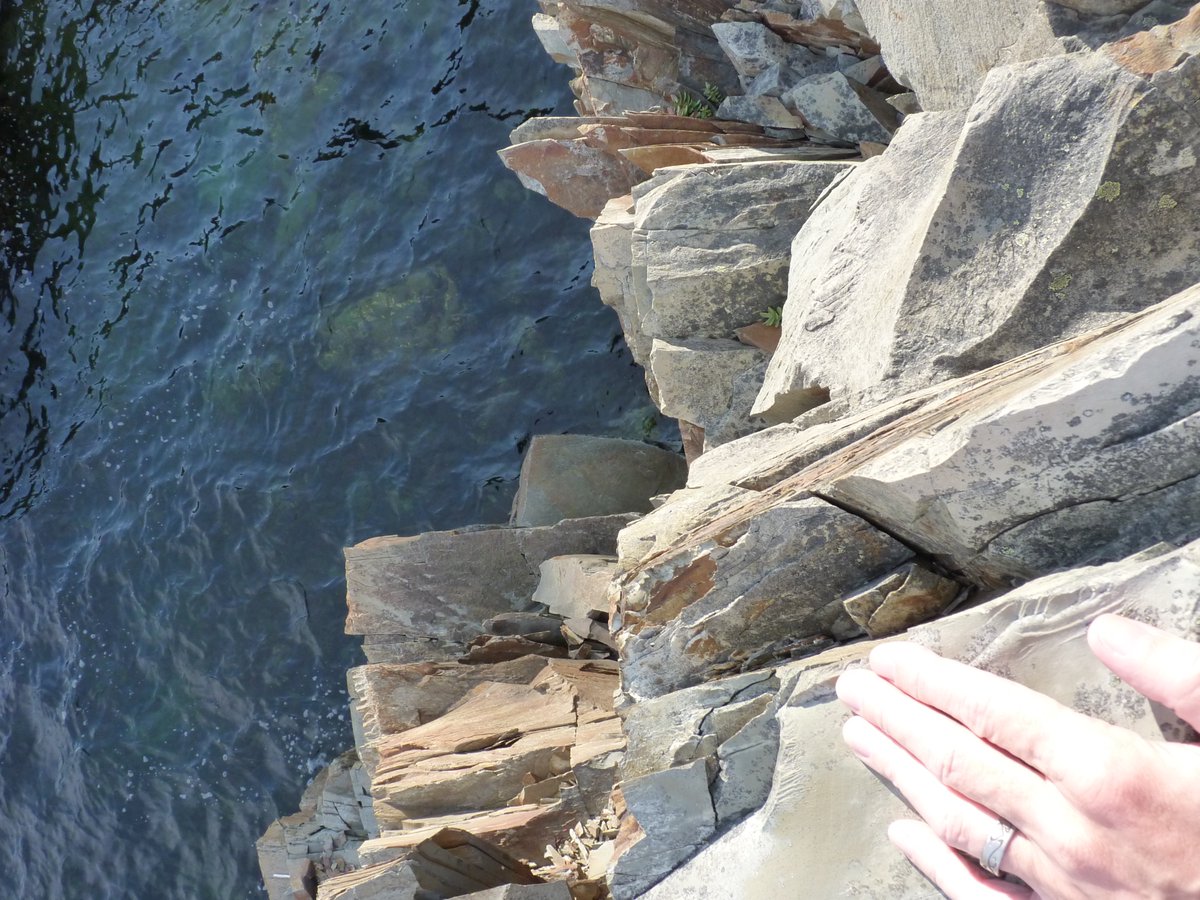 FossilRod's tweet photo. This #FossilFriday: more fieldwork frustration. This rock surface (left photo) has some superb #Edicaran fossils and will undoubtedly provide much valuable data. However, it's a long way down (right) and is only accessible by boat, but is in a narrow channel with dangerous tides. https://t.co/960Mqbz0zH