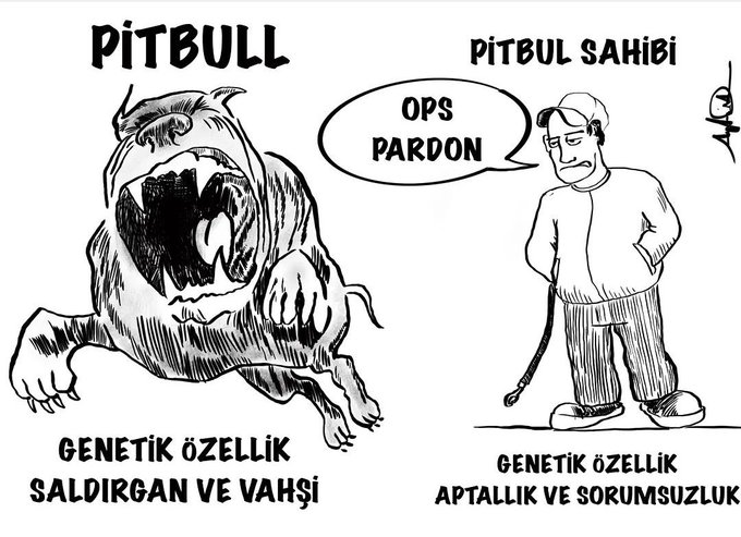 Mehmet66725437's tweet photo. -Canavar bir tür olan Pitbull 'lar toplatilip uyutulmali . Sahibi olacak yaratiklara da yuklu para cezalari ve tekrarinda hapis cezalari verilmeli. 
-Mama lobisinin gazi ile sokaklar kopek surusu dolu. Barinaklar iyilestirilmeli ve kisirlastirma hizlanmali.  #yesimsalkımboykot https://t.co/vWbldEGZXm