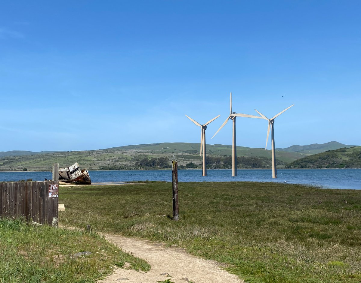 The West Marin Feed tweet media