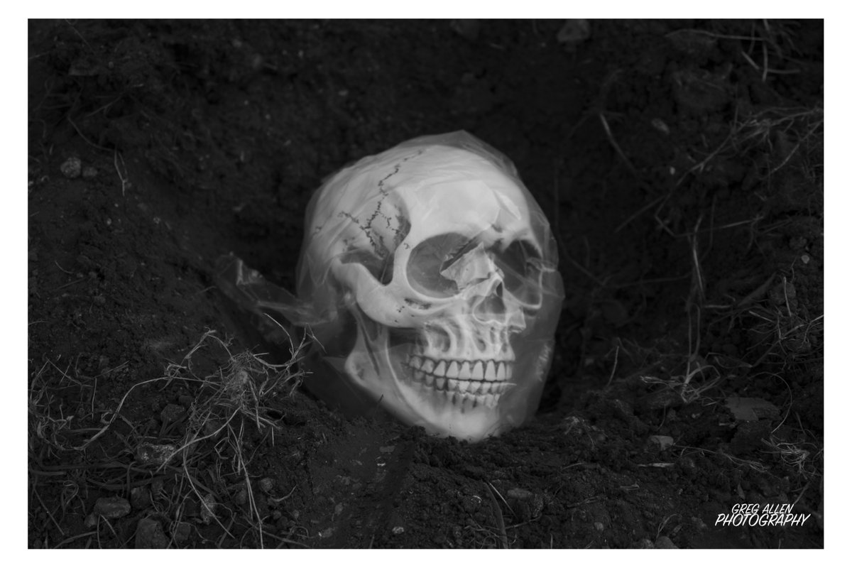 GPhotos23's tweet photo. Book Project: 
     S.K.U.L.L.S 
The Skull of Murder 
1st Photo-Suffocation 

#canonphotography 
#skullphotography
#stilllifephotography
#monocromephotography https://t.co/hZuGL3DmlC