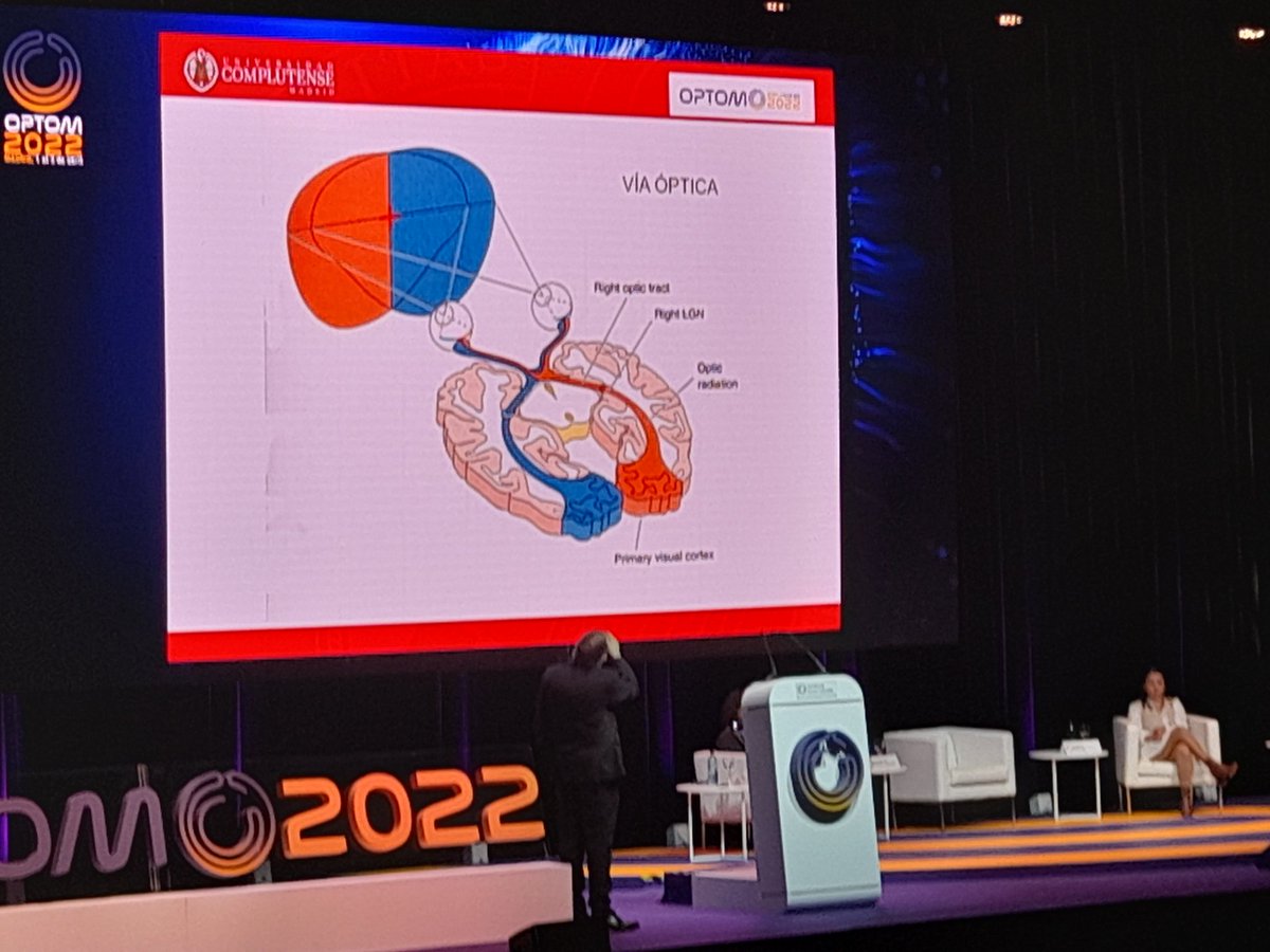 Noeresoptico's tweet photo. Tour de force de anatomía, embrioligía y fisiología ocular y visual al inicio de la Sesión Plenaria de hoy #OPTOM22 #OPTOM2022 https://t.co/ydKU0bQLFT