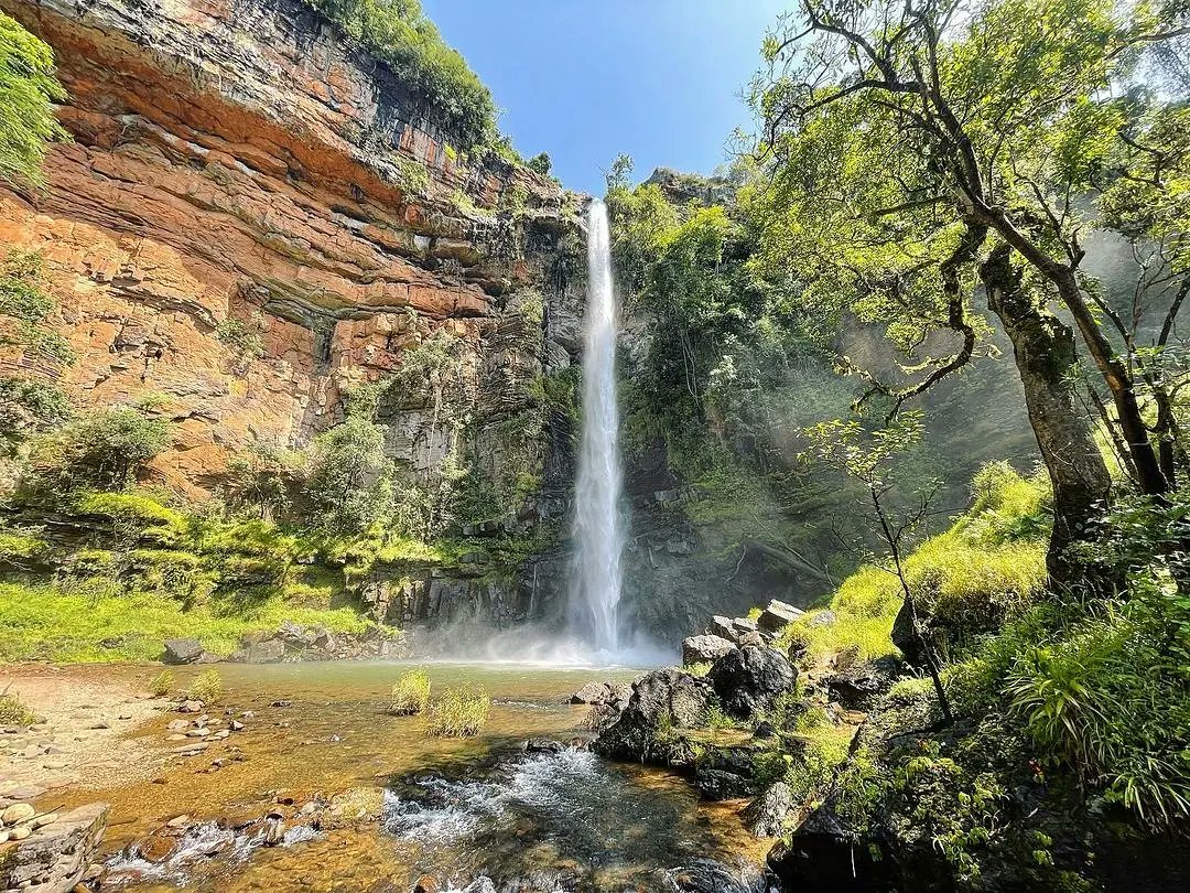KrugerLowveld's tweet photo. Charming and spectacular.
Captivating scenes of the #panoramaroute by Carika Oosthuizen. 
#southafrica #blyderivercanyon #explorempumalanga #bourkesluckpotholes #graskop #sabie #southafricantourism #gosouthafrica #travelready #lowveldliving #krugerlowveld #itsinournature https://t.co/JqNOYPmtb2