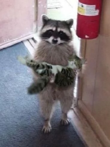 snowberrysw's tweet image. sunwoo when he catches juyeon